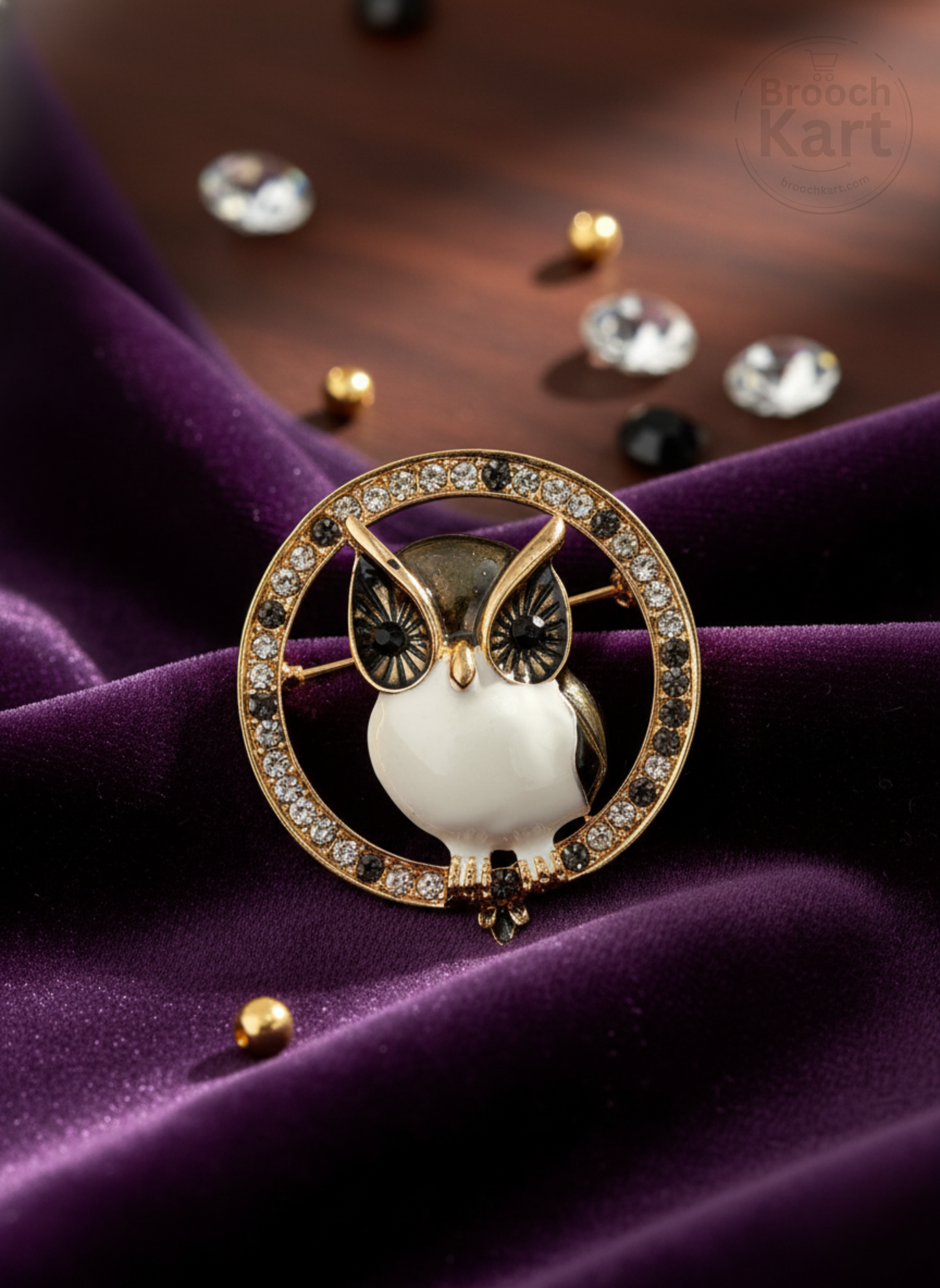 Golden Circle Owl Brooch